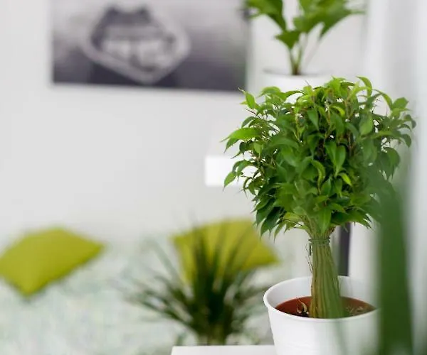 Apartament Vla - Karmarschgasse *